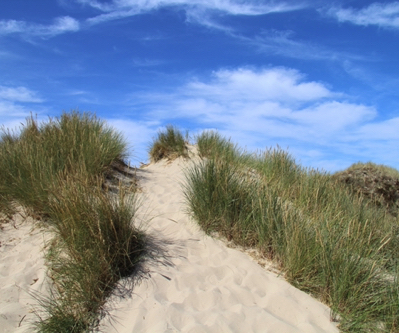 Duinlandschap met blauwe lucht